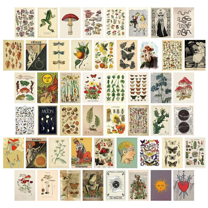 Botanische Vintage Postkarten Set – 50 Stück Wanddeko & Collage